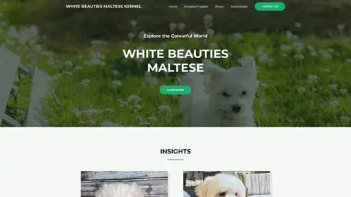 Screenshot of