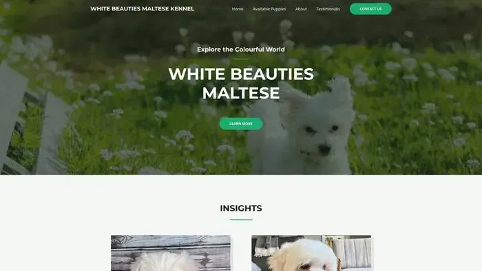 Screenshot of
