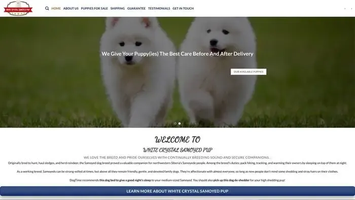 Screenshot of