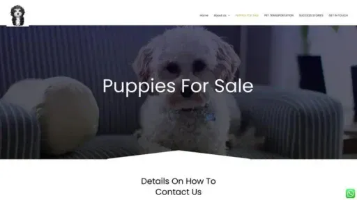 Screenshot of