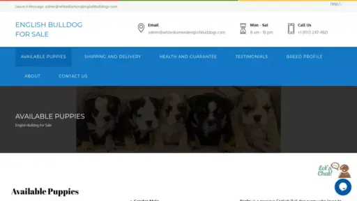 Screenshot of