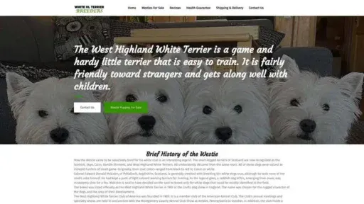 Screenshot of