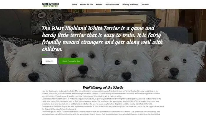 Screenshot of