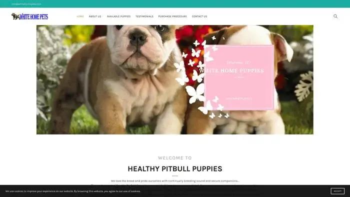 Screenshot of