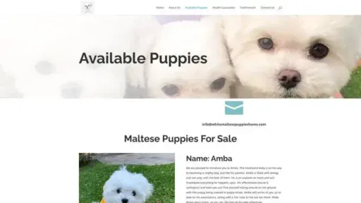 Screenshot of