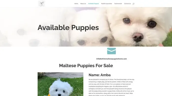 Screenshot of