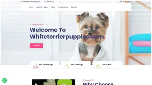 Screenshot of