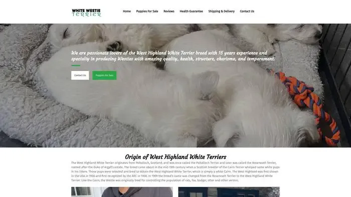 Screenshot of