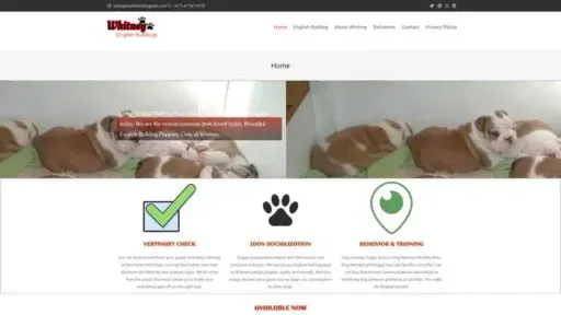 Screenshot of