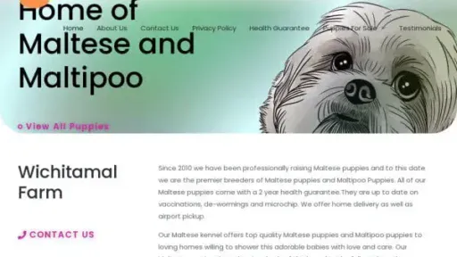 Screenshot of