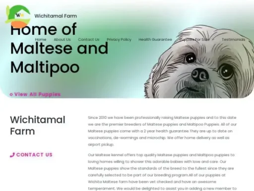 Screenshot of