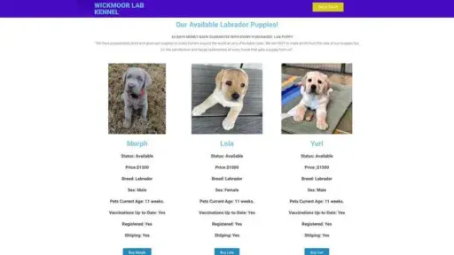Screenshot of