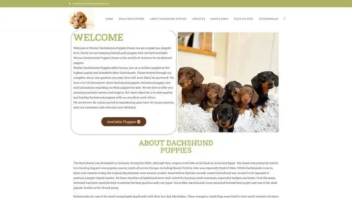 Screenshot of||