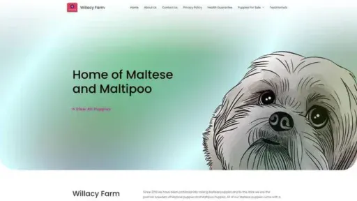 Screenshot of