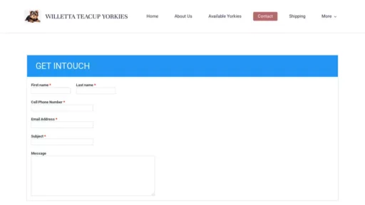 Screenshot of