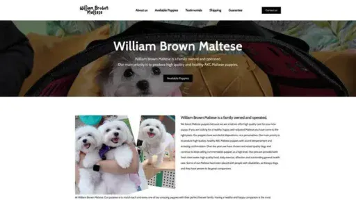 Screenshot of
