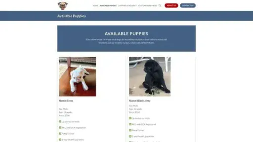 Screenshot of