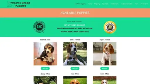 Screenshot of