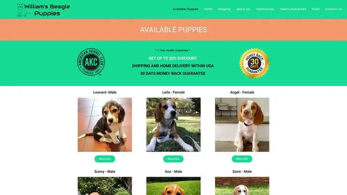 Screenshot of