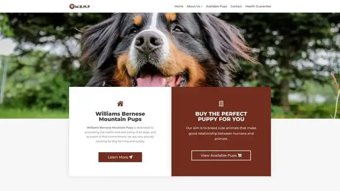 Screenshot of