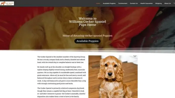 Screenshot of