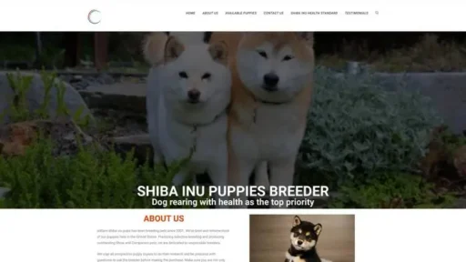 Screenshot of