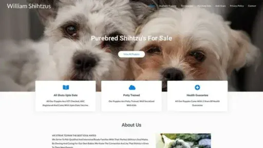 Screenshot of