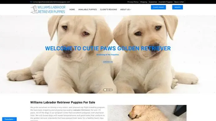 Screenshot of