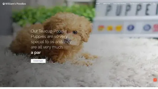 Screenshot of