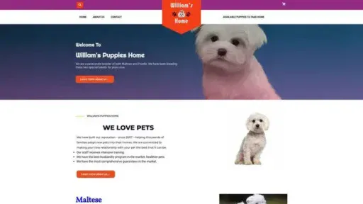 Screenshot of