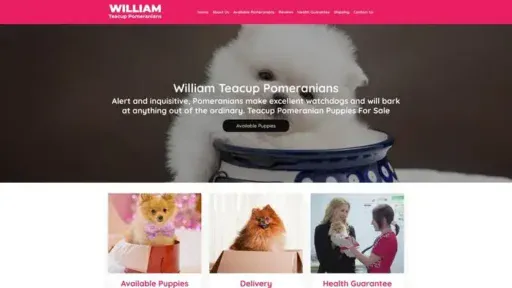 Screenshot of