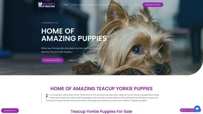 Screenshot of
