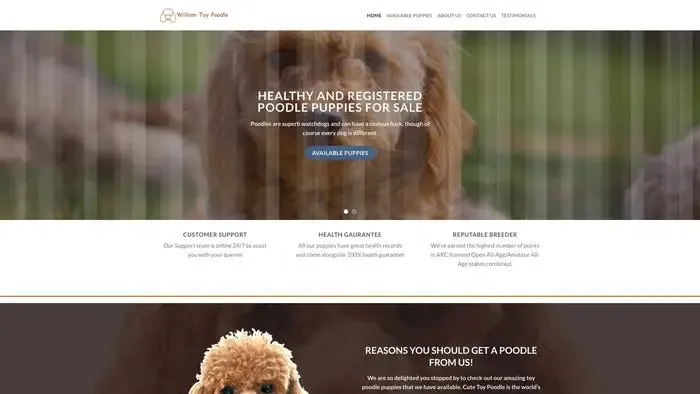 Screenshot of