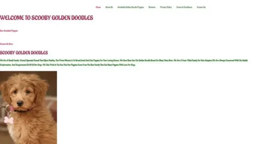 Screenshot of