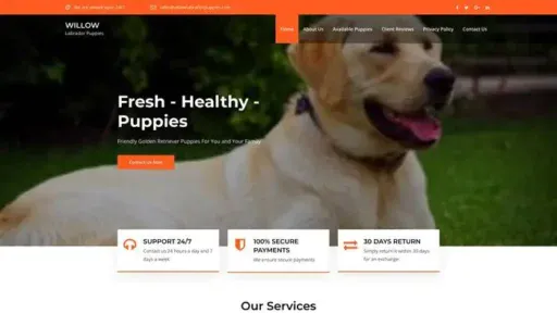 Screenshot of