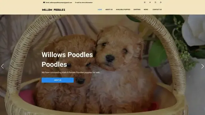 Screenshot of