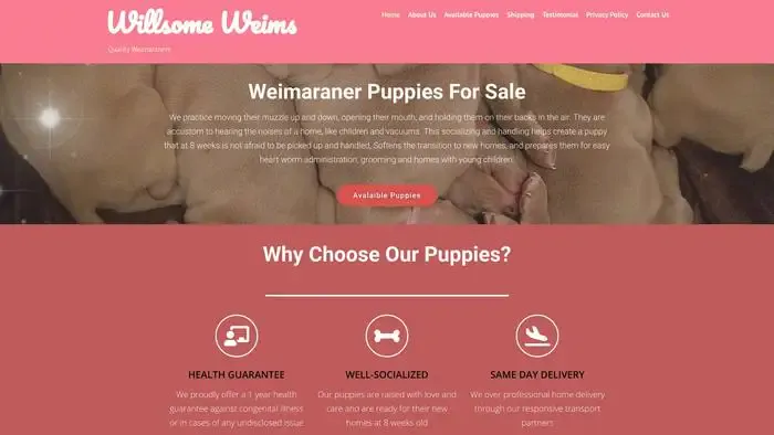 Screenshot of