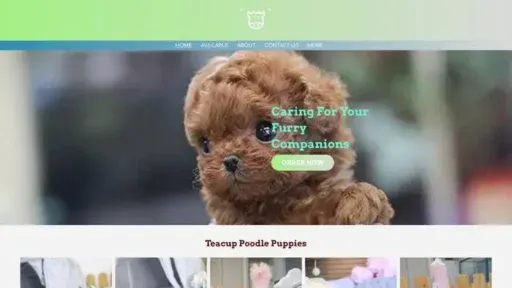Screenshot of