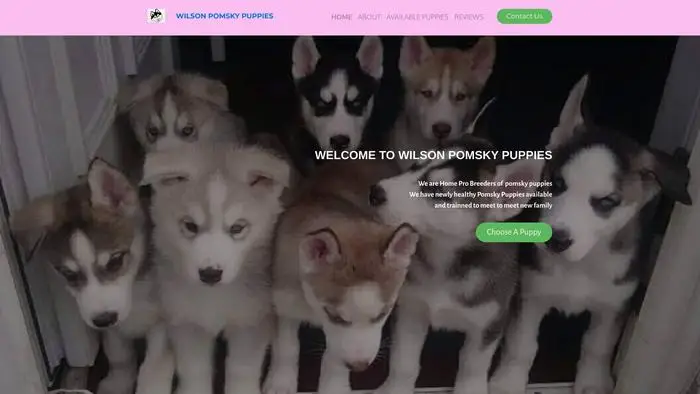 Screenshot of