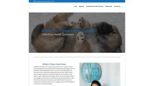 Screenshot of