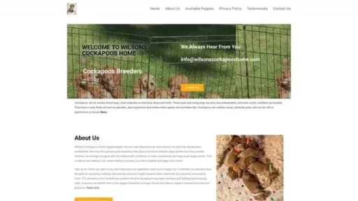 Screenshot of
