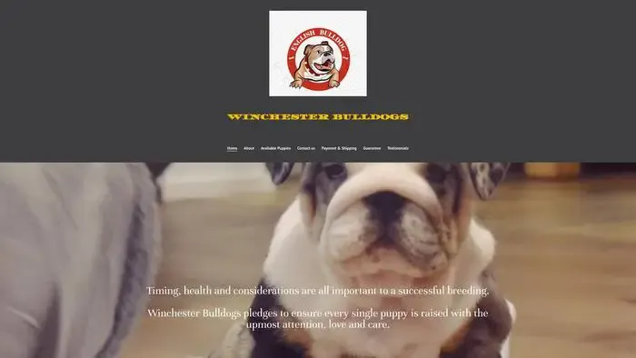 Screenshot of