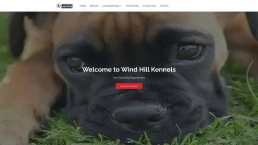 Screenshot of