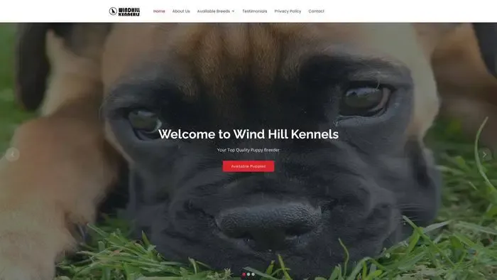 Screenshot of
