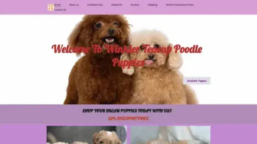 Screenshot of
