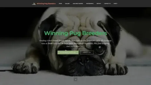 Screenshot of