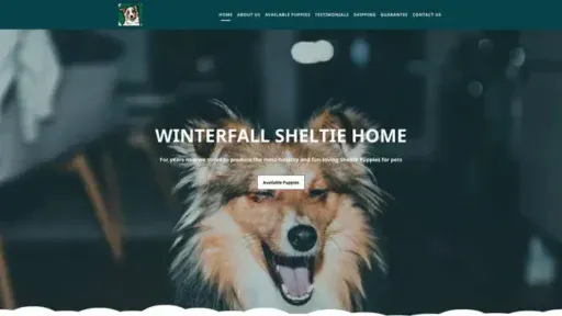 Screenshot of