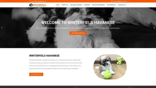 Screenshot of
