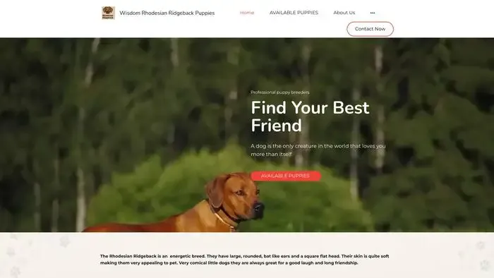 Screenshot of