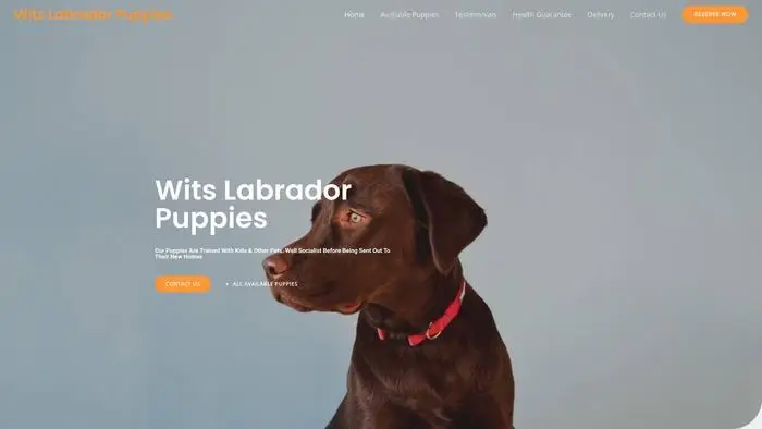 Screenshot of